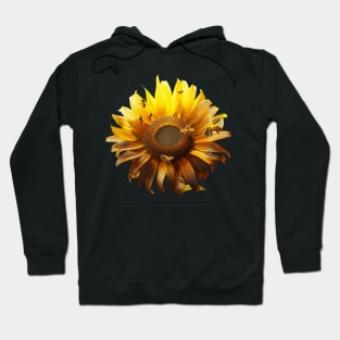 Bee Conservation Success Hoodie